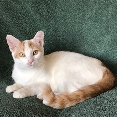 Fundraising Page: Dory Cunningham